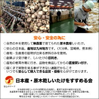 干し椎茸九州産肉厚200g原木栽培(国産干ししいたけ干しシイタケ乾燥しいたけ)