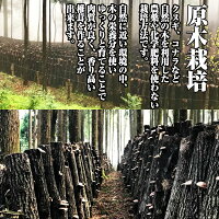 干し椎茸九州産肉厚200g原木栽培(国産干ししいたけ干しシイタケ乾燥しいたけ)