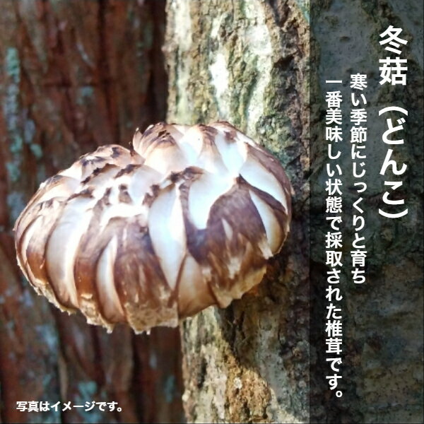 有明海産 一番摘み しじみ醤油 味付のり BJ-30 包装 熨斗 のし 無料 【LOI】