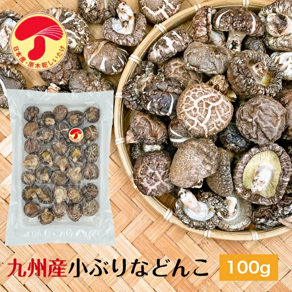 干し椎茸 九州産 小ぶりなどんこ 100g 原木栽培( 国産 どんこ こぶり 干しシイタケ 干ししいたけ 乾しいたけ 乾燥シイタケ 乾燥椎茸 )