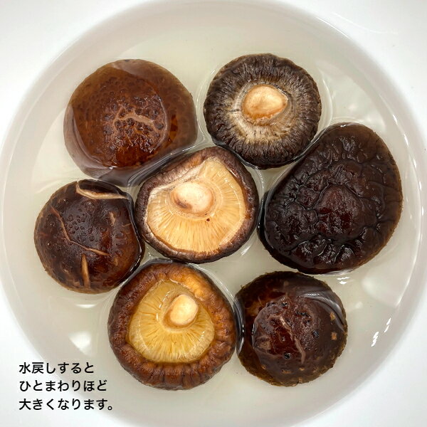 干し椎茸 業務用 肉厚 3.5-4cm 500g 中国産( しいたけ 椎茸 干ししいたけ 乾燥椎茸 乾燥しいたけ 光面 ) isekyu-10000010 伊勢丘商店 サンプル画像3