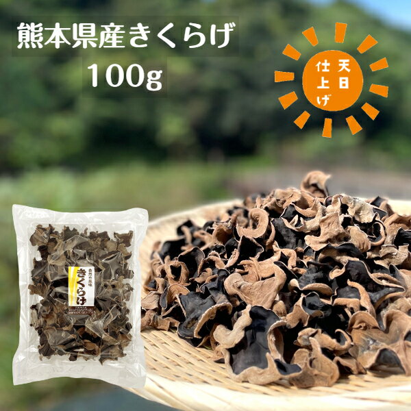 国産 きくらげ 熊本県産 100g 優良品 