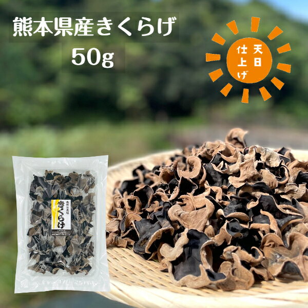 商品説明商品名 乾燥きくらげ 熊本県産 50g 天日仕上げ商品規格熊本県産乾燥きくらげ 商品サイズ：23cm×33cm×3.5cmおすすめ料理 炒め物、ラーメンの具、酢の物など名称乾燥きくらげ 原材料名きくらげ（菌床栽培）原料原産地名日本（熊本県） 内容量50g賞味期限製造日より1年間別途商品ラベルに記載保存方法直射日光を避け、高温多湿を避けて保存してください。密封して冷蔵庫で保存がおすすめです。 ご利用方法軽く水洗いしてから「きくらげ」が浸るくらいの 水につけて、やわらかくなるまで水戻ししてください。（水戻し時間の目安：約1時間） 水戻し後は、必ず加熱調理してご使用ください。加工者有限会社伊勢丘商店 三重県松阪市田村町368番地熊本県産　無農薬栽培 乾燥きくらげを送料無料でお届け！ ▼安全・安心へのこだわり▼ ▼使い方は色々▼ ▼健康な毎日に▼