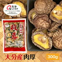 干し椎茸 大分産 肉厚 300g 中サイズ 大容量 原木栽培 無農薬( 国産 大分県産 干しシイタケ 干ししいたけ 乾しいたけ 乾燥シイタケ 乾燥椎茸 エリタデ...