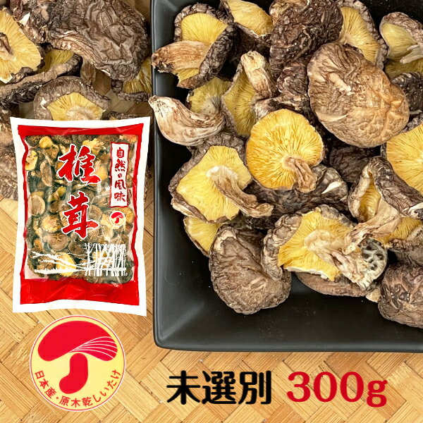 【ふるさと納税】肉厚どんこ (126g) 原木栽培 干し椎茸 乾椎茸 しいたけ きのこ 出汁 老舗乾椎茸問屋がお届け ! 贈答 大分県 佐伯市【EB03】【五十川 (株)】