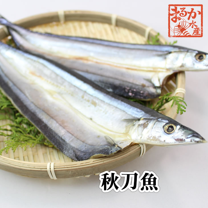 特選干物 さんま開き 2枚（冷凍）[�