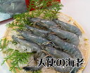 天使の海老 Mサイズ 生食用 30/40サイズ 1kg 冷凍 魚介類