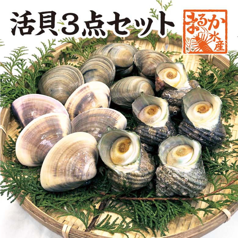 活はまぐり　大サイズ 70g～100g　10～15個 　1kg分　国産　[はまぐり]