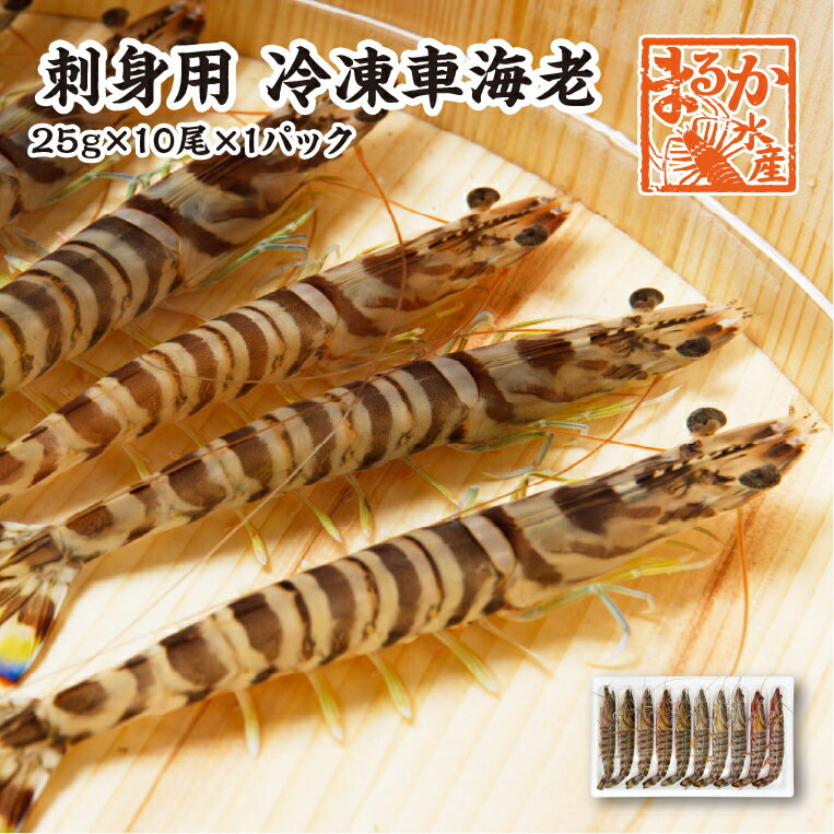 刺身用車海老　凍眠　 10尾　250g[冷凍車海老]のサムネイル