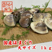 楽天市場 活はまぐり 大サイズ 70g 100g 10 15個 1kg分 国産 はまぐり まるか水産楽天市場店 みんなのレビュー 口コミ 楽天市場 活はまぐり 大サイズ 70g 100g 10 15個 1kg分 国産 はまぐり まるか水産楽天市場店 みんなのレビュー 口コミ