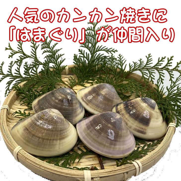 ���ࡡ�Ϥޤ���Υ��󥫥�Ƥ���15��[����Ϥޤ���]