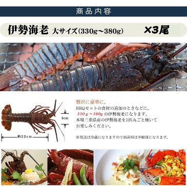 送料無料　伊勢海老　活〆冷凍　大きめサイズ　1kg　3尾入　　[伊勢海老]　（活〆冷凍）