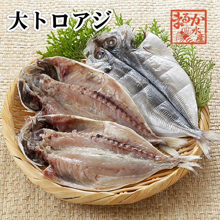 特選干物 トロアジ 1枚（冷凍）[干物]