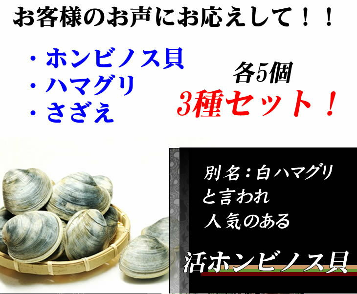 活貝3点セット　はまぐり80g5個　さざえ100g5個　ホンビノス130g5個　[貝セット]