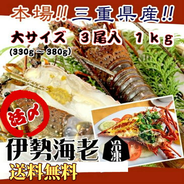 送料無料　伊勢海老　活〆冷凍　大きめサイズ　1kg　3尾入　　[伊勢海老]　（活〆冷凍）