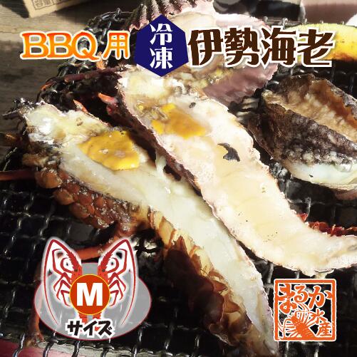 BBQ用 冷凍伊勢海老 200～230g Mサイズ ハーフカット [活〆伊勢海老]