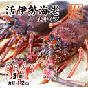 活伊勢海老　活きたまま発送！ちょっとワケあり、大サイズ 3尾入 1.2kg 