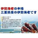 送料無料　活伊勢海老　活きたまま発送します　ほんのちょっとワケあり、標準サイズ　2尾　500g[活伊勢海老] 2