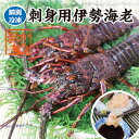 刺身用伊勢海老　活〆冷凍　600g~800g　1尾　特大サイズ　[凍眠冷凍伊勢海老]