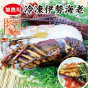 伊勢海老　冷凍（加熱用）　少し訳あり（各サイズあります）　1kg　[魚介類]