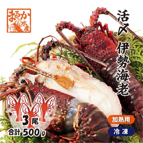 衺ϷǮѡ˾᥵ 3 500g ̵[Ϸ]