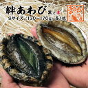 【送料無料】新潟産 天然 活アワビ・あわび 2kg 訳あり