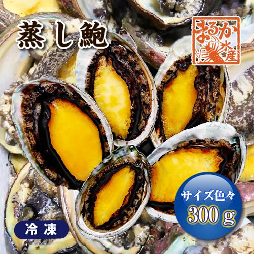 冷凍 蒸しあわび（蝦夷あわび）サイズ色々300g[蒸しあわび]