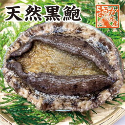 アワビ 活黒あわび　Mサイズ　170g〜200g　1枚 [あわび]