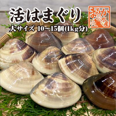 活はまぐり　大サイズ 70g～100g　10～15個 　1kg分　国産　[はまぐり]