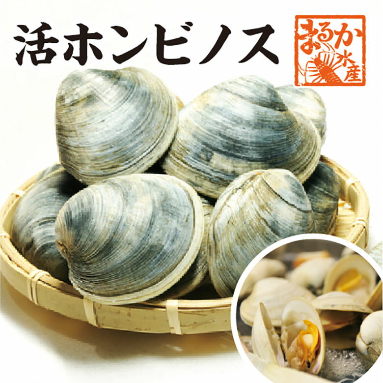 【ふるさと納税】 丸元水産　桑名産蛤(ハマグリ)0.7kg_はまぐり　魚介　貝