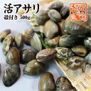 活あさり貝 中国産　500g　約40粒～60粒 [あさり貝]