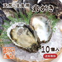 天然 生食用岩がき（400/450g）10個（送料無料）[岩ガキ]