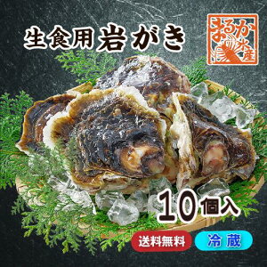 生食用 岩がき Lサイズ(250/300g）10個（送料込）[岩ガキ]