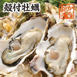 冷凍・おかわりに！　三重県産　殻付牡蠣　加熱用 冷凍　20個