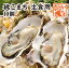 桃こまち　殻付き牡蠣　生食用　10個 [牡蠣]