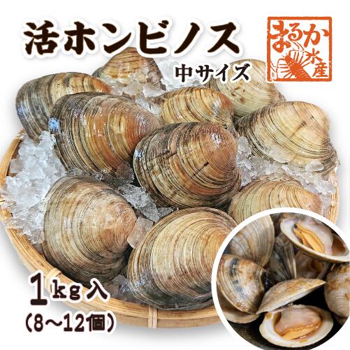 活ホンビノス貝　中サイズ　8～12個入り　約1kg[貝類]のサムネイル