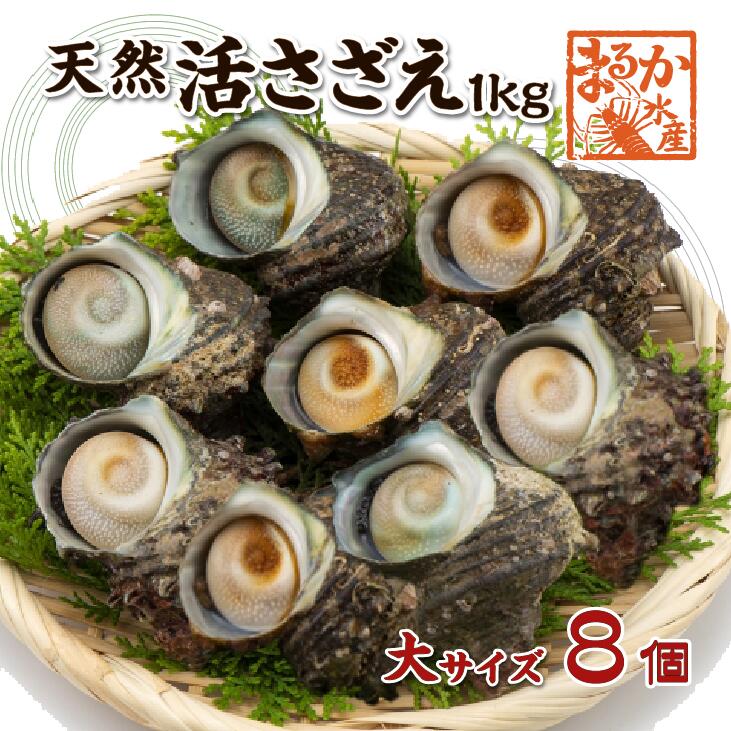 ŷ  祵 1kg 8 120150g []