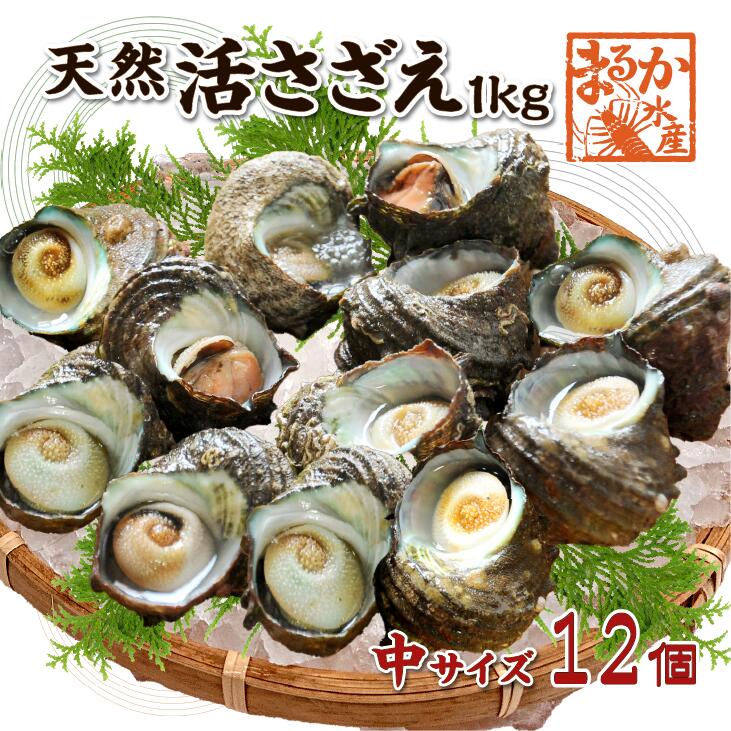 ŷ  極 1kg 12 70110g []
