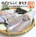 白子付 とらふぐ身欠き 1.2キロ以上 身欠処理(除毒)済 (身欠処理後約800g)
