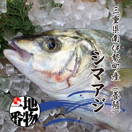 激安価格！青森産活ほたて (サイズ混じり) 15枚