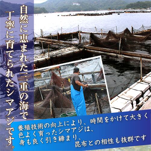 激安価格！青森産活ほたて (サイズ混じり) 15枚