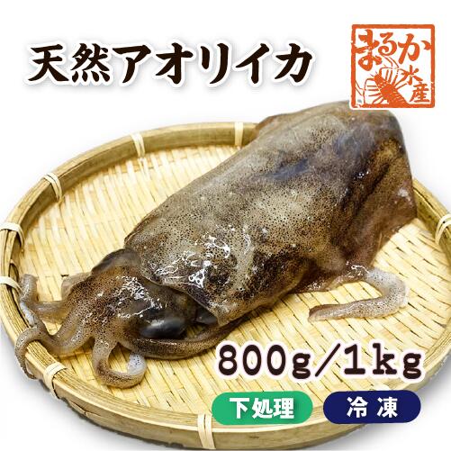 外国産のアオリイカではない「本物」のアオリイカの味をご賞味ください。 1匹丸ごとですのでお刺身やバター焼きなどいろいろな料理に御使用できます。 商品も以下のように選べます。 1）そのまま真空冷凍でお届けすれば鮮度良くお届けすることが出来ます。 　（冷凍便にてお届け） 　冷蔵品との同時購入の場合は冷蔵便で発送させていただきます 　（到着時に、商品が解凍されている場合があります。） 2）また解凍、下処理をして「お刺身用」で発送もできます。 　その場合は冷蔵便でのお届けになります。