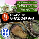 絆あわびとサザエの詰合せ（黒あわび×1赤あわび×1サザエ200g×5）[あわび、サザエ]