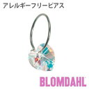 ピアス アレルギーフリーピアス 純チタン リング ハート レインボーBLOMDAHL ブロムダール ピアス アレルギーフリーピアス 純チタン リング ハート レインボー 両耳 2個 セット ピアス アレルギーフリー かわいい 皮膚 肌 優しい ピアス