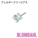 ピアス アレルギーフリーピアス 純チタン シルバー 立爪 5mm キュービックジルコニアBLOMDAHL ブロムダール ピアス アレルギーフリーピアス アレルギーフリーピアス 純チタン シルバー 立爪 5mm キュービックジルコニア 両耳 2個 セット ピアス
