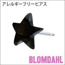 ピアス アレルギーフリーピアス 純チタン ブラック スターBLOMDAHL ブロムダール ピアス アレルギーフリーピアス アレルギーフリーピアス 純チタン ブラック スター 両耳 2個 セット ピアス アレルギーフリー かわいい