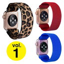 Apple Watch アップルウォッチ Vol.2 Nylon elastic band ニュー ナイロン エラスティック ベルト アップルウォッチバンド 伸縮 伸び縮..