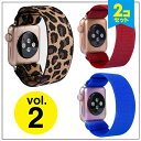 【2本セット】 Apple Watch アップルウォッチ Vol.2 Nylon elastic band ニュー ナイロン エラスティック ベルト アップルウォッチバンド 伸縮 伸び縮みする カラフル ナイロン 軽量 オリジナル バンド 美しい 送料無料(2)