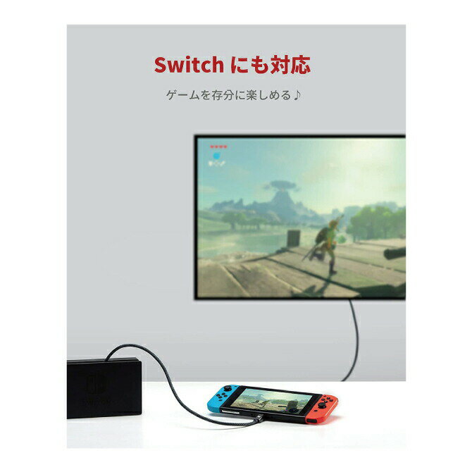 【2本セット】 iVANKY VBD41 50cm 4K/60Hz USB-C Male to USB-C Female USB Type-C 延長 ケーブル USB 3.1 Gen 2 10Gbps 高速データ転送 3A急速充電 typec タイプc 変換 送料無料