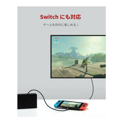 【2本セット】 iVANKY VBD41 50cm 4K/60Hz USB-C Male to USB-C Female USB Type-C 延長 ケーブル USB 3.1 Gen 2 10Gbps 高速データ転送 3A急速充電 typec タイプc 変換 送料無料